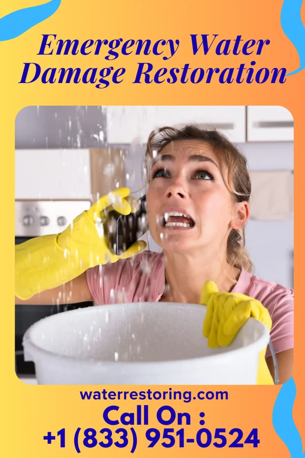 Emergency Water Damage Restoration in Troy, MT