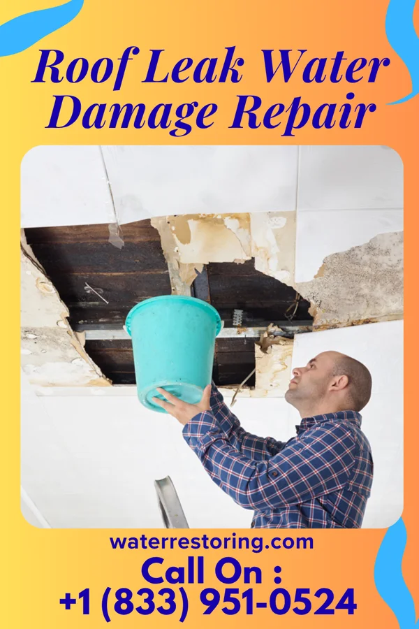 Roof Leak Water Damage Repair in Troy, MT